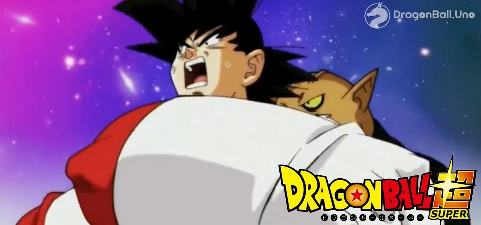 goku vs toppo